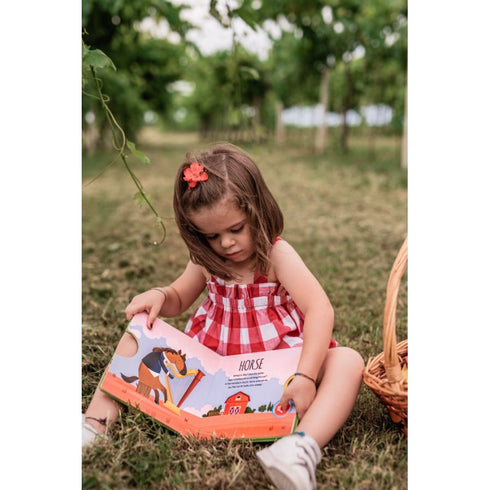 SASSI - Sound Book - The Farm